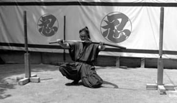 Learn-from-an-expert-ninja Japan
