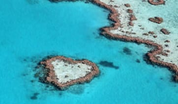Dive the Great barrier reef Australia
