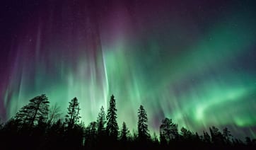 Arctic Northern Lights