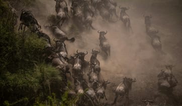 Luxury Vacations in Africa