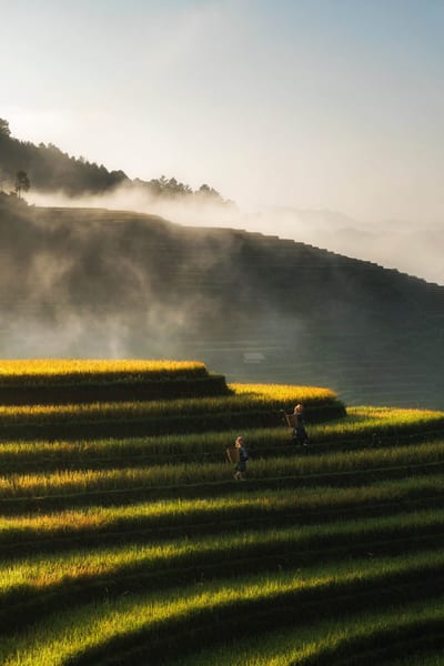 Golden Hills Mu Cang Chai, luxury travel Vietnam