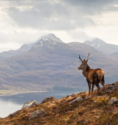 Scotland