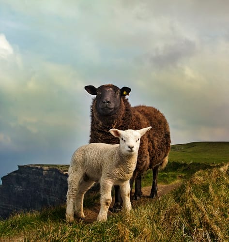Ireland