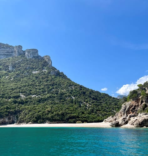 sardinia boat trip