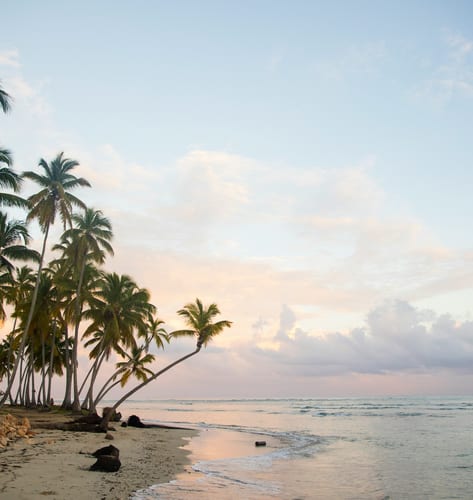 Palm beach in Dominican Republic
