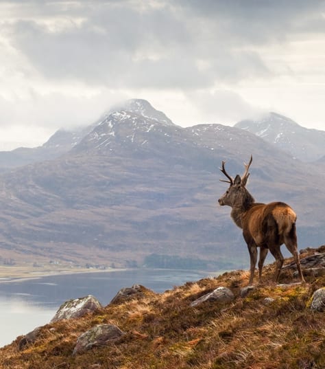 Scotland