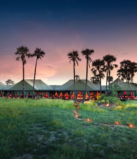 Jack's Camp | Luxury Hotels & Safari Lodges in Botswana