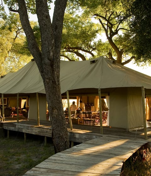 Zarafa Camp