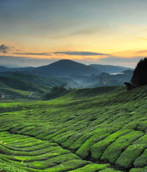 Luxury holidays in Malaysia