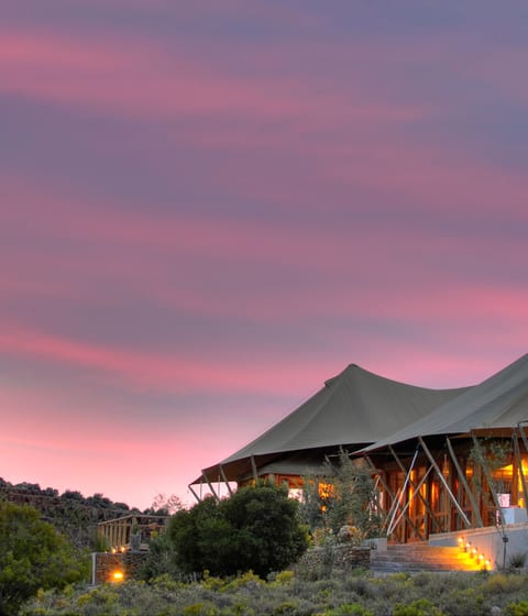 Dwyka Tented Lodge, Sanbona Wildlife Reserve