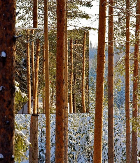 The incredible TreeHotel, Lulea