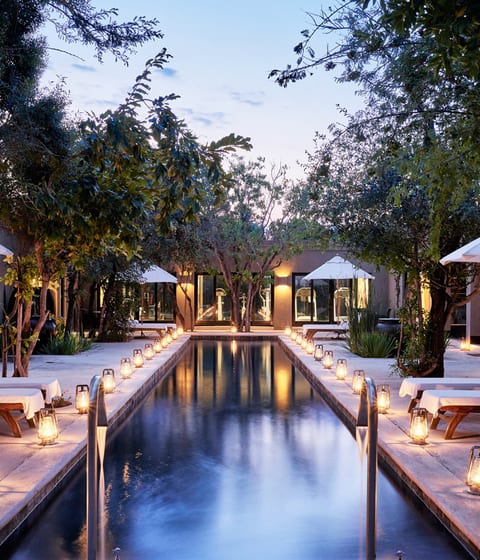 Royal Malewane | Luxury Hotels & Safari Lodges in South Africa