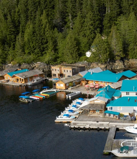 Luxury hotel on the waters edge, Knight Inlet Lodge
