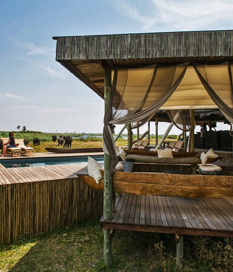 Selinda Camp