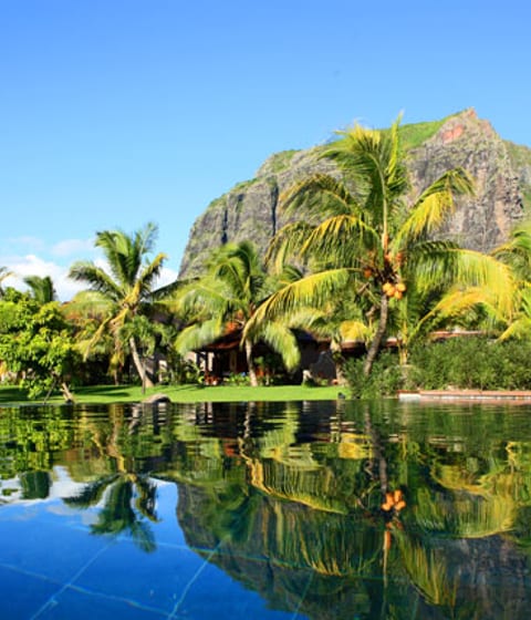 The lush gardens at Le Morne