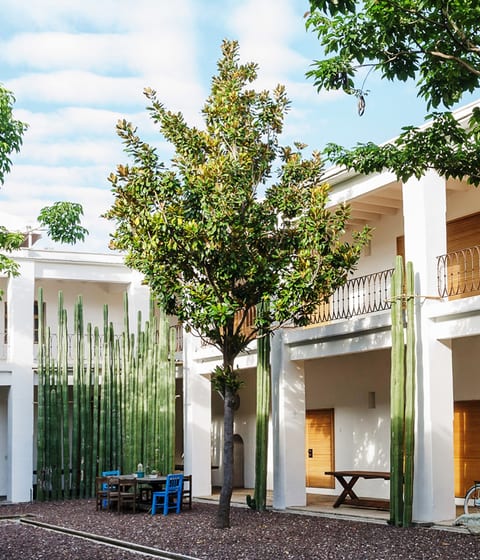 Casa Azul, Oaxaca | Luxury Hotels in Mexico