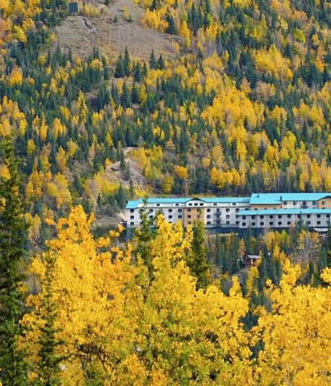 Your Denali Oasis, Grande Denali Lodge