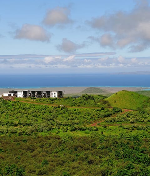 Pikaia lodge