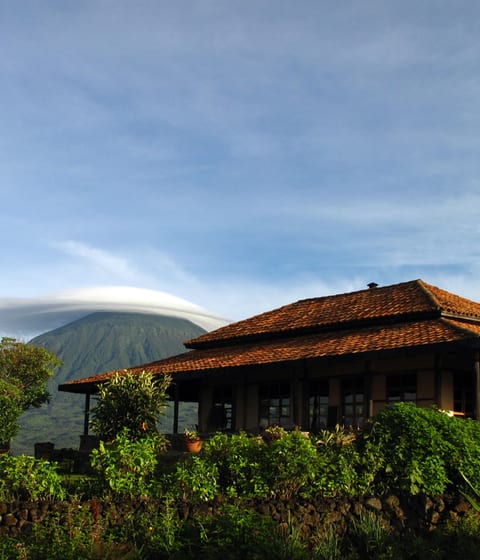 Virunga Lodge