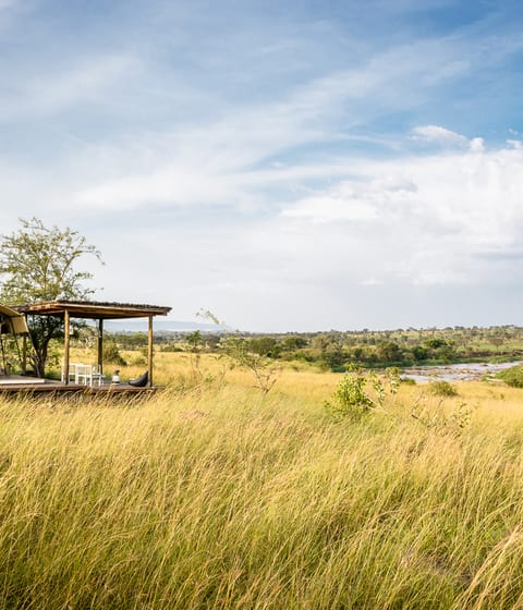 Singita Mara River Tented Camp