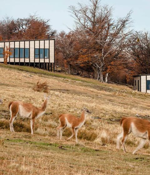 Awasi lodge Chile