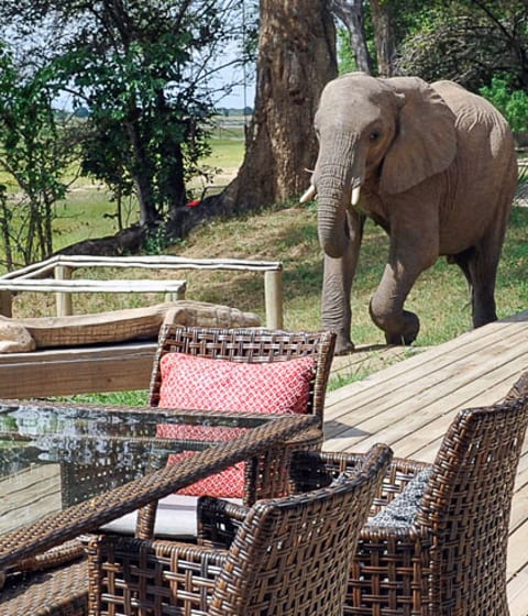 Zimbabwe holidays