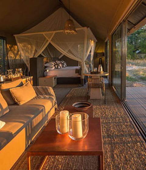 Luxury safari destinations in Africa