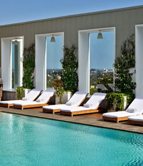 The stunning pool at the Mondrian