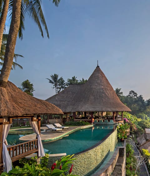 Viceroy