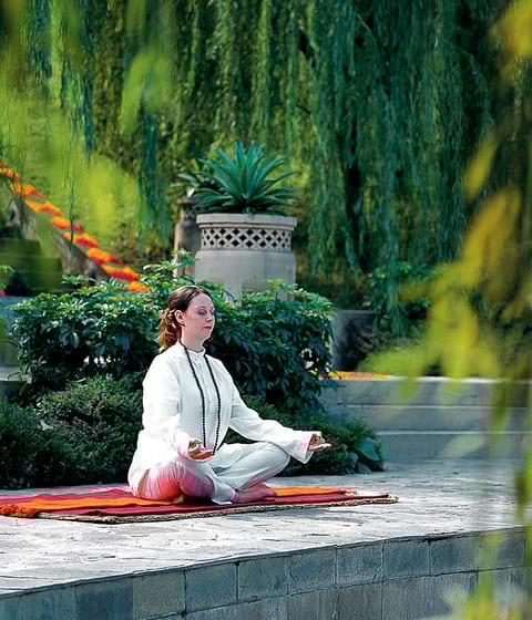 Ananda