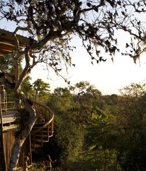 Luxury Hotels in Galapagos