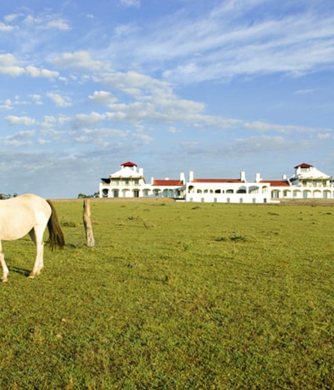 Luxury hotels in Uruguay