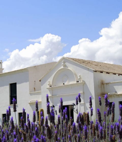 la merced del alto, Argentina