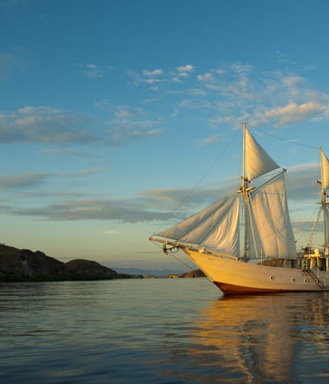 Cruise around Indonesia on The Alexa