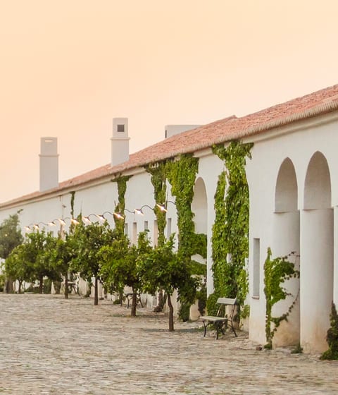 Sao Lourenco do Barrocal
