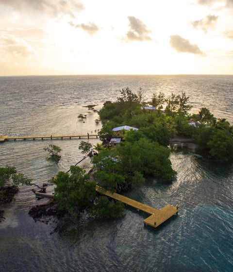 Coral Caye