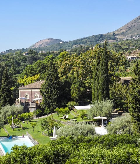 Monaci delle Terre Nere