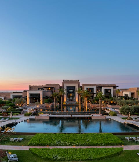 Royal Palm