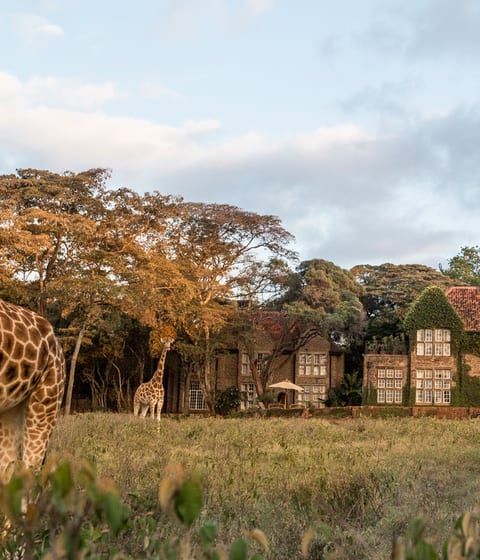 Giraffe Manor