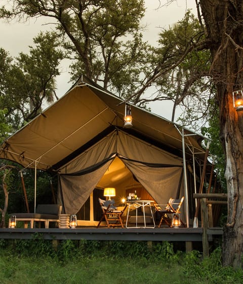 Gomoti Plains Camp