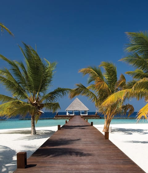 Coco Bodu Hithi