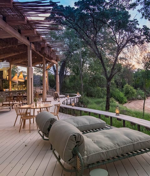 Luxury Safari Camps in Kruger