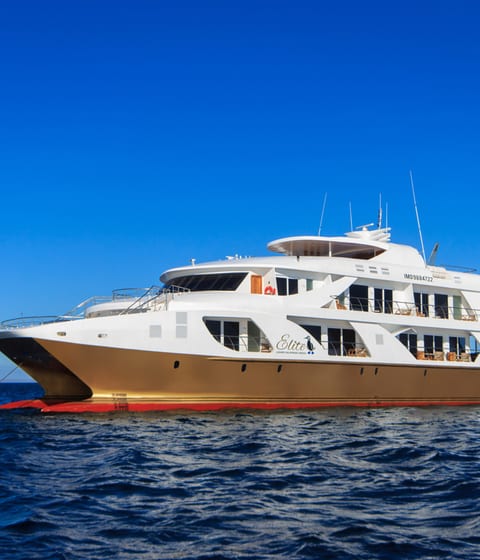 Elite Luxury Yacht | Luxury Yachts and Cruises in the Galapagos