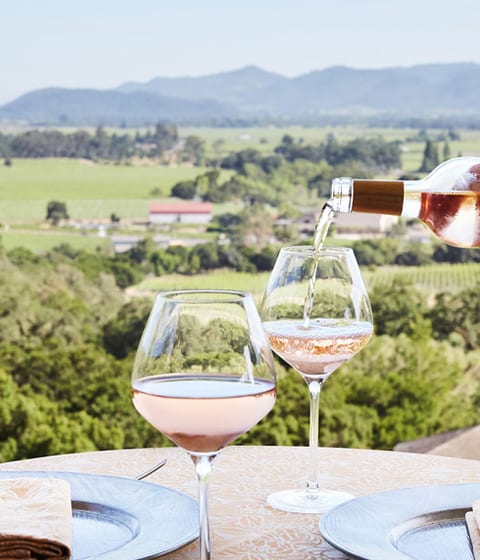 Experience Napa with Surf Air x Black Tomato