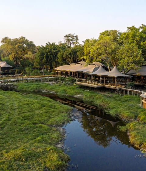 Xigera Safari Lodge, Okavango Delta | Luxury Hotels & Lodges in Botswana