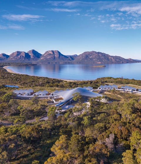 Saffire fresinet, Australia
