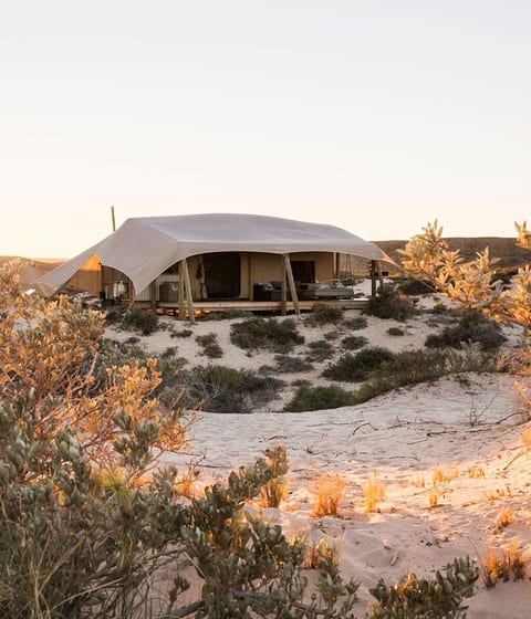 Sal Salis, Australia