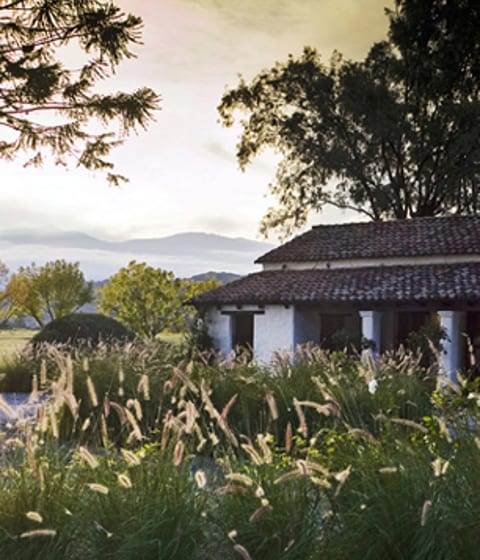 house of jasmine exterior, Argentina