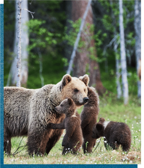 Alaska, One Week to Wander, Black Tomato, Luxury Travel