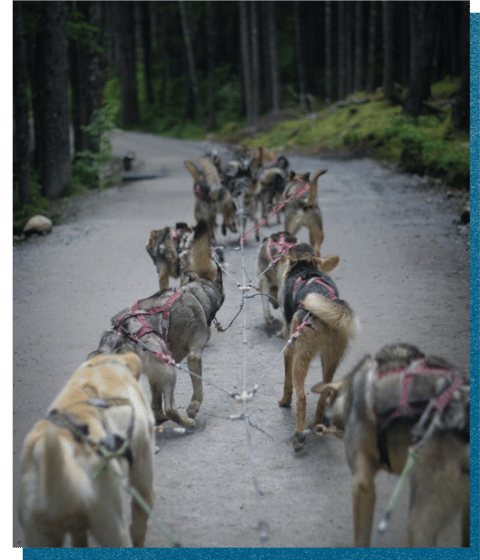 Alaska, One Week to Wander, Black Tomato, Luxury Travel